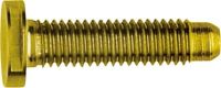Schraube Spezial ZY M5x25 PVD mes