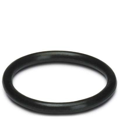 Dichtring WP-OR M20