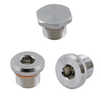 Dichtstopfen VP NPT1-1/4-EX W