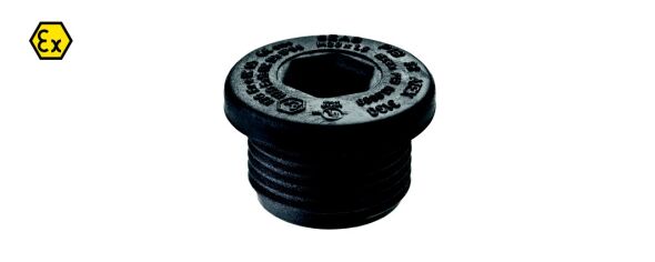 Ex-Verschlussschraube GHG9601952R0117