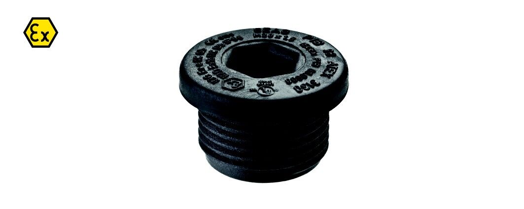 Ex-Verschlussschraube GHG9601952R0117