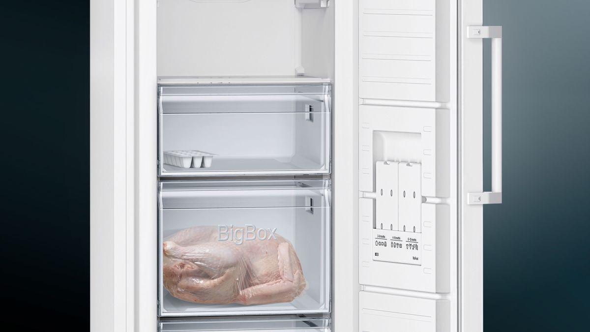Gefriergerät GS29NVWEP