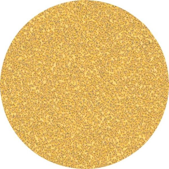 C470 Schleifpapier 2608900951