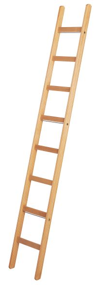 Sprossenanlegeleiter 1514 Sprossenanlegeleiter 1514