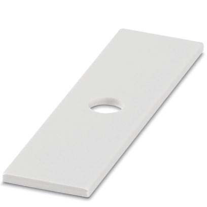 Einsteckschild PMST (10X38)