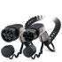 AC-Ladekabel EV-T2G3PC- #1627133