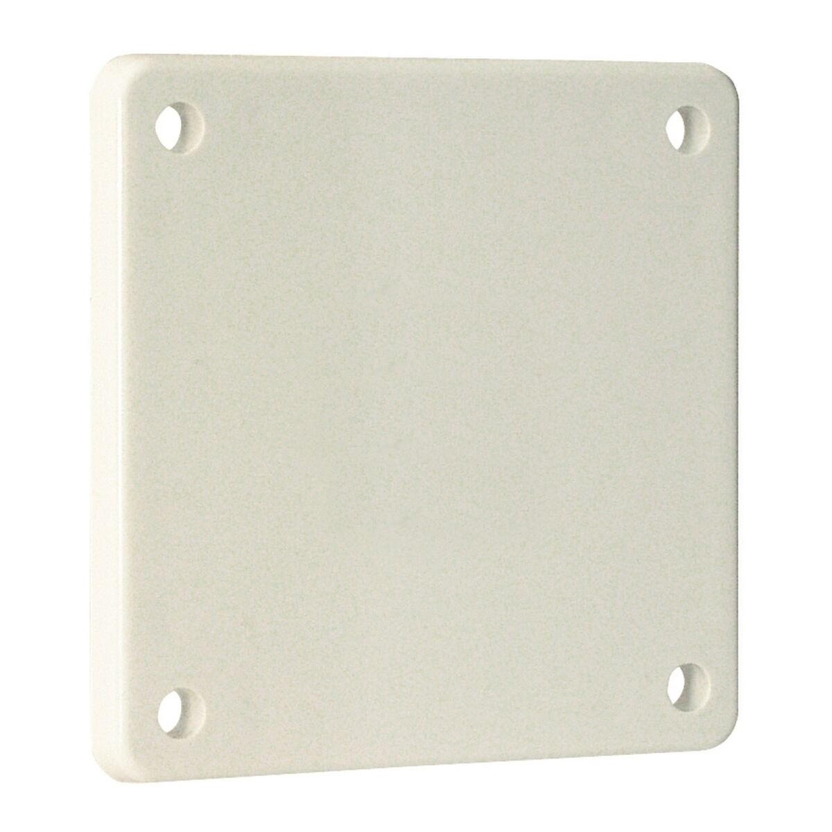 Blindflansch 10015RW