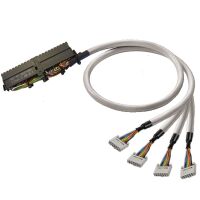 Cable digitale Signale PAC-S300-4X10-V0-2M5