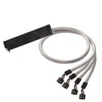 Cable digitale Signale PAC-S400-HE10-V0-1M