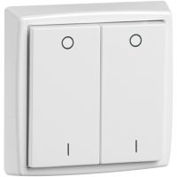 Wandsender D 455/61.022 FU-BLS