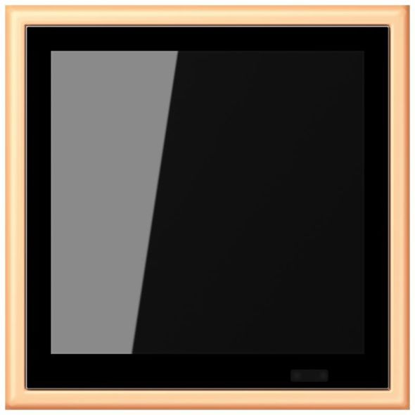 KNX Raumcontroller LC 459 D1 S 258 KNX Raumcontroller LC 459 D1 S 258