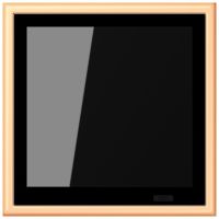 KNX Raumcontroller LC 459 D1 S 258