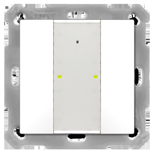 Taster Plus TS 55 2-fach BE-TA55T2.G2 Taster Plus TS 55 2-fach BE-TA55T2.G2