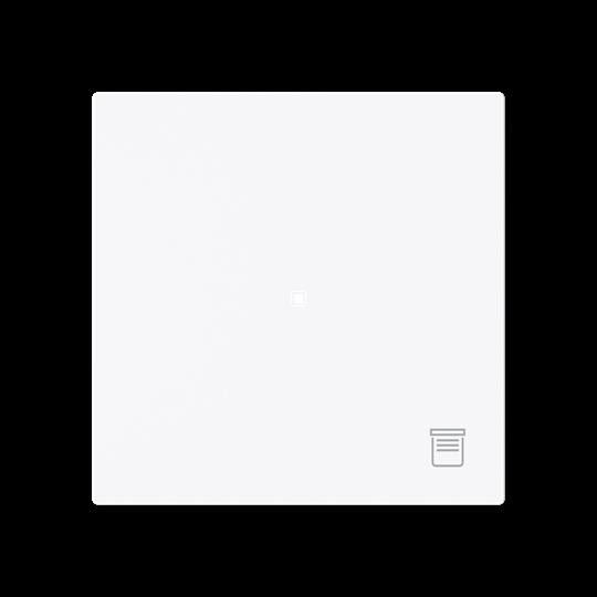 Wippe 1-fach mit Symbol 6232-10-44G