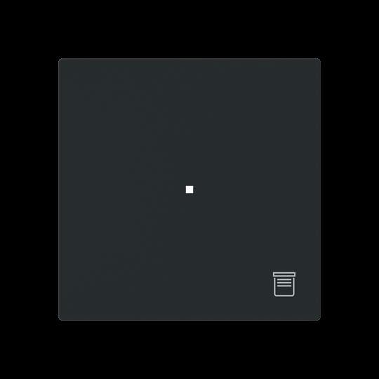 Wippe 1-fach mit Symbol 6232-10-45M Wippe 1-fach mit Symbol 6232-10-45M