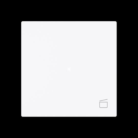Wippe 1-fach mit Symbol 6233-10-44G