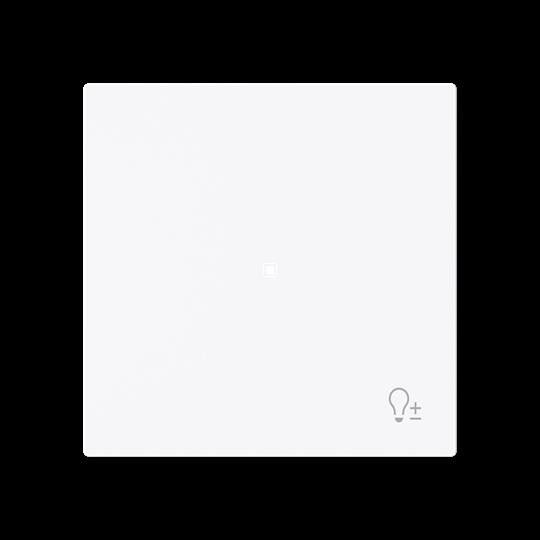 Wippe 1-fach mit Symbol 6234-10-44G Wippe 1-fach mit Symbol 6234-10-44G