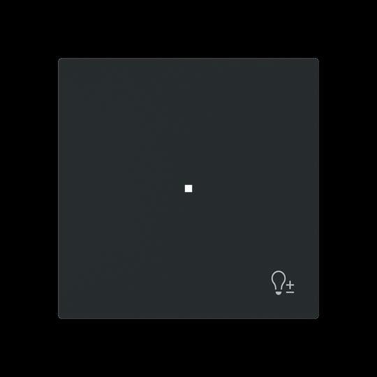 Wippe 1-fach mit Symbol 6234-10-45M Wippe 1-fach mit Symbol 6234-10-45M