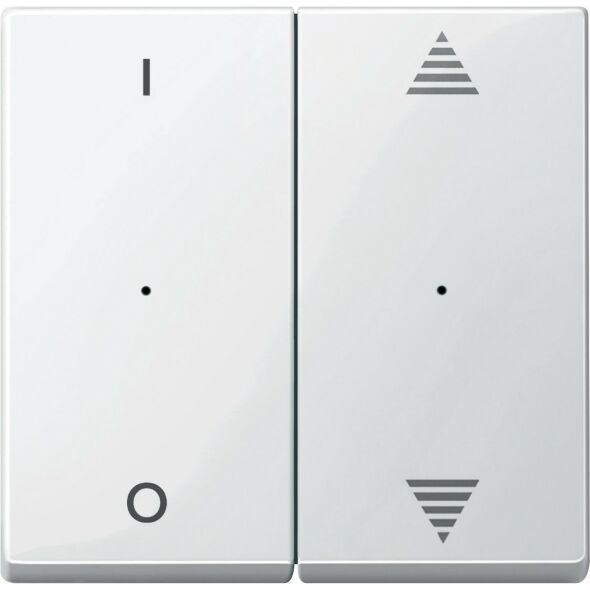 Wippe Tastermodul 2fach MTN619519