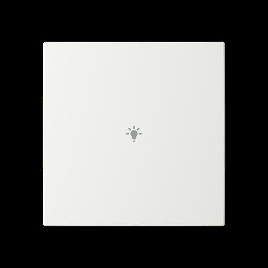 Abdeckung, 1-fach LFW/A.1.63.11-81 Abdeckung, 1-fach LFW/A.1.63.11-81