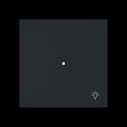 Wippe 1-fach mit Symbol 6231-10-45M Wippe 1-fach mit Symbol 6231-10-45M