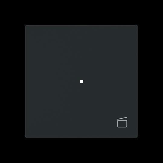 Wippe 1-fach mit Symbol 6233-10-45M