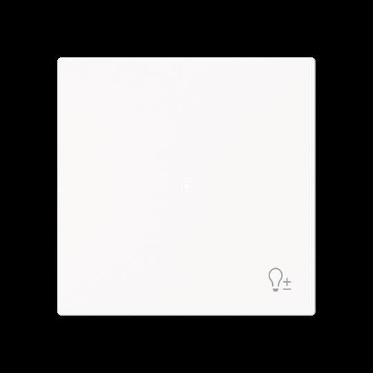 Wippe 1-fach mit Symbol 6234-10-44M Wippe 1-fach mit Symbol 6234-10-44M