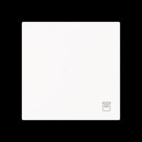 Wippe 1-fach mit Symbol 6232-10-44M