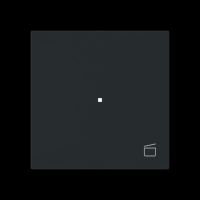 Wippe 1-fach mit Symbol 6233-10-45M