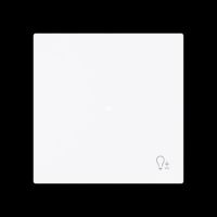 Wippe 1-fach mit Symbol 6234-10-44G