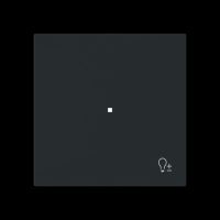 Wippe 1-fach mit Symbol 6234-10-45M