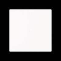 Wippe, 1-fach neutral ohne 6230-10-44M