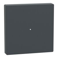 Wippe Tastermodul 1fach MTN625114