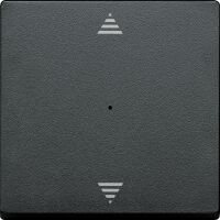Wippe Tastermodul 1fach MTN625514