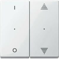 Wippe Tastermodul 2fach MTN619519