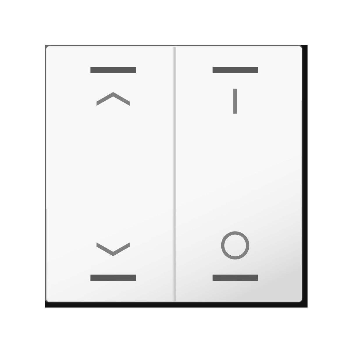 MDT Wippe KNXTasterLight55 BE-TAL55W202.C1 MDT Wippe KNXTasterLight55 BE-TAL55W202.C1