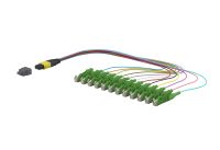 OpDAT Ader-Fanout MTP-M 151P5TMMA003A
