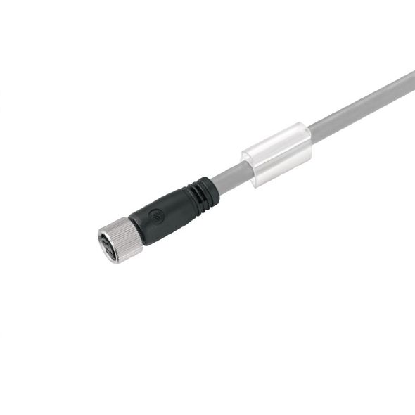 Kabel SAIL-M8BG#1981910150