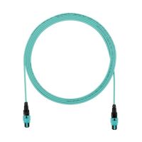 Trunk OM4 12F PanMPO F FZTRL7N7NBNM002
