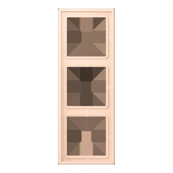 Rahmen 3-fach LC 983 228