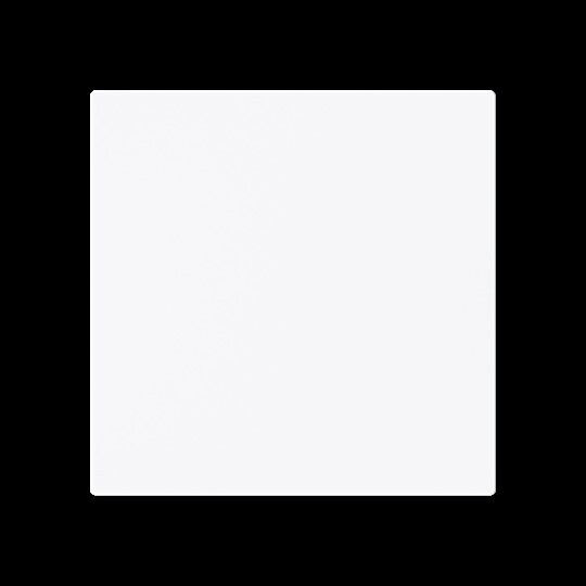 Wippe 1-fach Smart Switch 6735 BT-44G