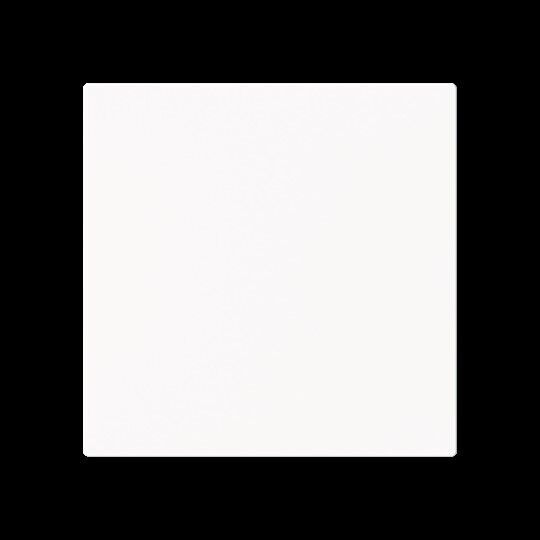 Wippe 1-fach Smart Switch 6735 BT-44M