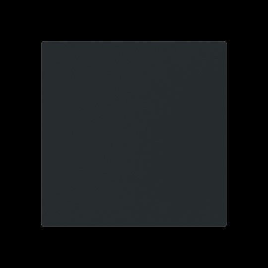 Wippe 1-fach Smart Switch 6735 BT-45M