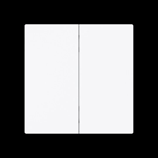 Wippe 2-fach Smart Switch 6736 FoH-44G