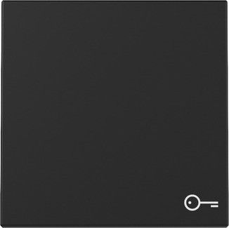 Wippe 3287005 Symb. Tür schwarz matt - neue Generation