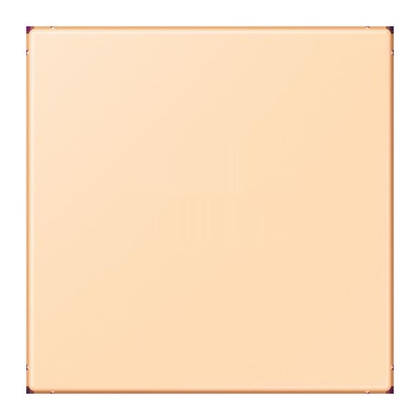 Abdeckung f. USB-Ladegerät LC 1969 USB 223