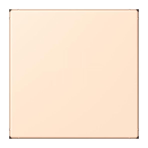 Abdeckung f. USB-Ladegerät LC 1969 USB 238