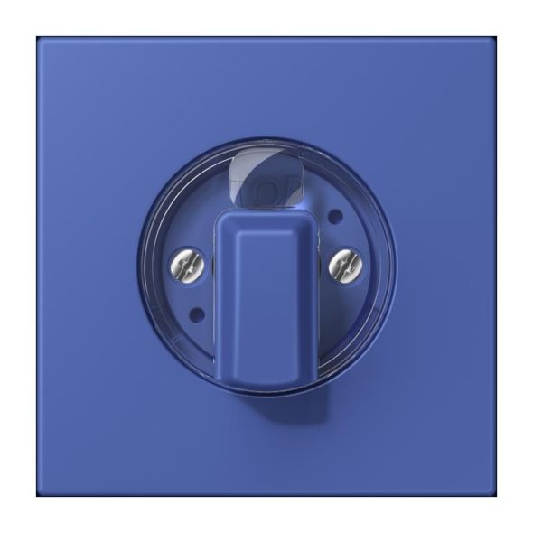 Abdeckung für Drehschalter LC 1941 206 Abdeckung für Drehschalter LC 1941 206