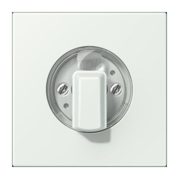 Abdeckung für Drehschalter LC 1941 210 Abdeckung für Drehschalter LC 1941 210