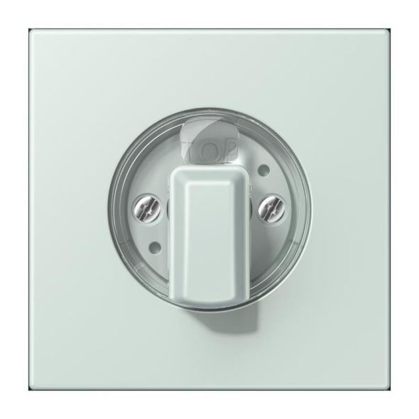 Abdeckung für Drehschalter LC 1941 215 Abdeckung für Drehschalter LC 1941 215